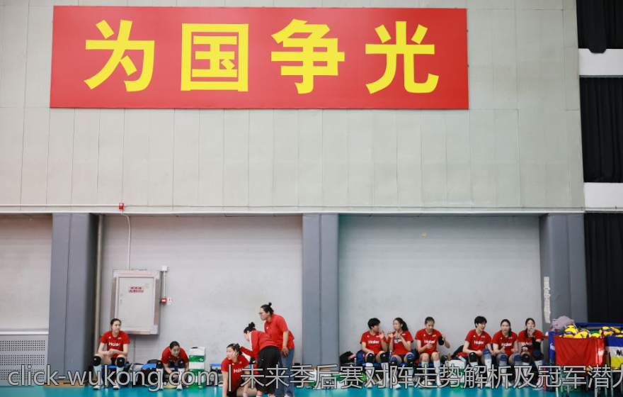 未来季后赛对阵走势解析及冠军潜力全面评估