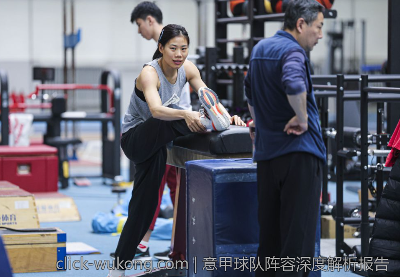 意甲球队阵容深度解析报告