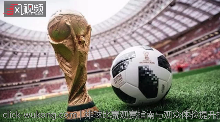 排球比赛观赛指南与观众体验提升技巧